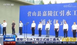 营山新闻爆料事件最新,最新事件引发社会关注，真相即将揭晓